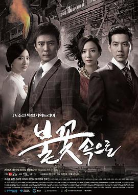 青海网站优化哪家强